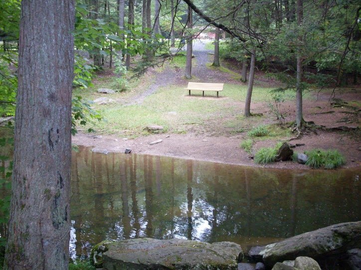 Reeds Gap State Park, Pennsylvania, USA